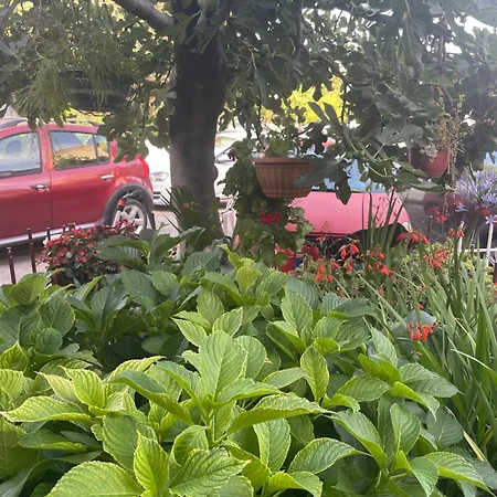 Ruzica Apartment *